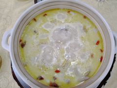 -古膳记猪肚鸡.生蚝鸡(拱北店)
