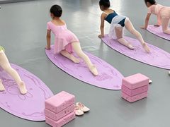 -中央芭蕾舞团·中芭艺蕾(酒仙桥明星校区)