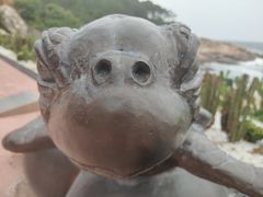 -广东惠东海龟国家级自然保护区