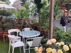 -山水茶艺馆·点心粤菜·30年老字号