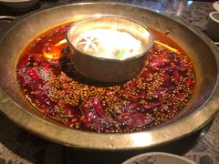 -Xiao Long Kan Hotpot Sydney 小龙坎老火锅