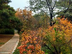 -国家植物园南园