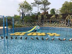 -清远熹乐谷温泉度假酒店