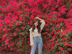 -厦门国家会计学院