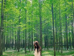 -河南省黄河迎宾馆