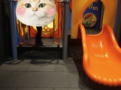 -麦当劳(大厂新城店)