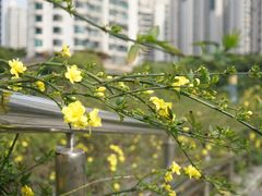 -苏州河梦清园环保主题公园