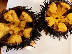 生海胆-海胆小馆(东北水饺·春柳店)