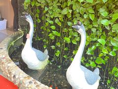 -鹅滋道(甘坑古镇店)