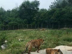 -西安秦岭野生动物园