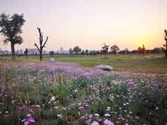 -汉长安城未央宫国家考古遗址公园