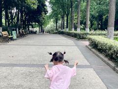 -苏州河梦清园环保主题公园