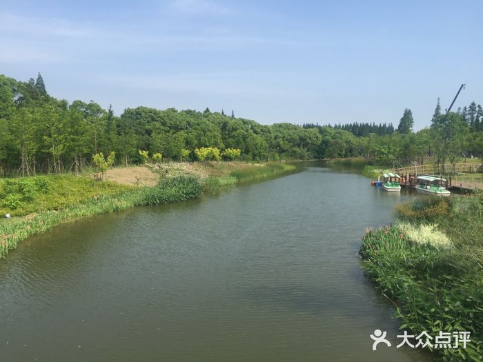 長興島郊野公園圖片