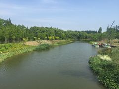 -上海长兴岛郊野公园