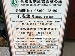 -西双版纳原始森林公园