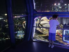-新加坡摩天观景轮