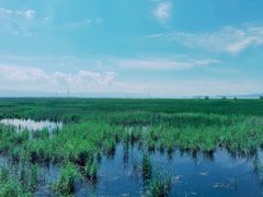 -野鸭湖国家湿地公园