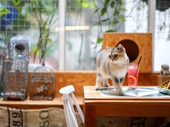 -拾壹cafe·工作室