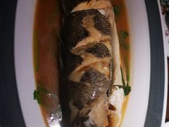 -前海沿·青岛菜(大拇指广场石老人店)