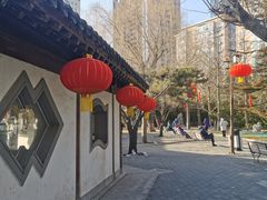 -团结湖公园