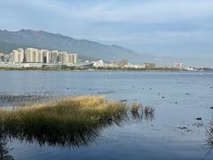 -大理洱海