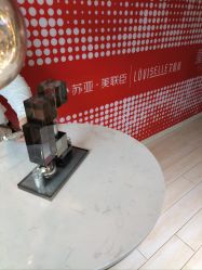 -石家庄苏亚美联臣医疗美容医院