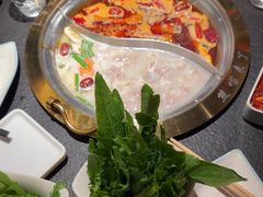 -熊喵来了火锅(四平万达第56分店)