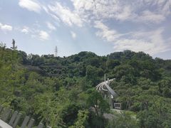 -梅峰山地公园
