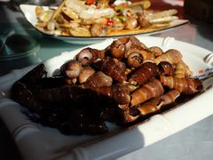 -宾朋海鲜饭庄(兴海路店)