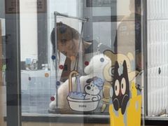 -宠小格时尚宠物生活馆(唐镇店)