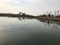 -苏州湾王焰温泉度假酒店
