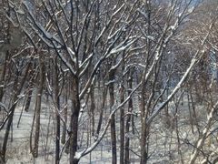 -长白山万达国际滑雪场