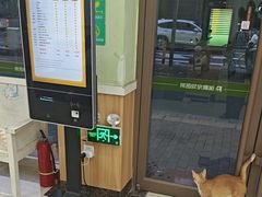 -瑞鹏宠物医院·夜间急症·心超·猫科(祖庙分店)