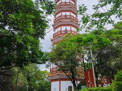 -分塔山省级森林公园