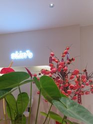 -skin79皮肤管理中心