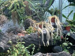 -国家植物园南园