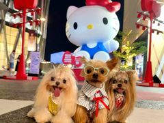 -深圳湾万象城(南山店)