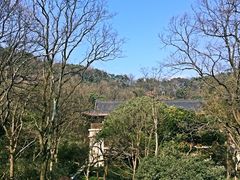 -杭州花家山庄
