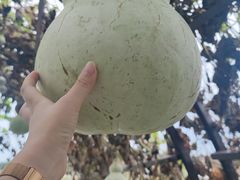 -中国天府农业博览园