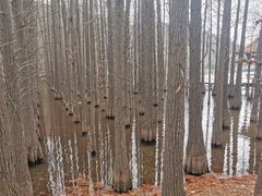 -采石矶景区