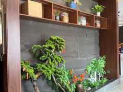 -俏东方·海味水饺·青岛菜(崂山店)