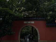 -灵谷景区