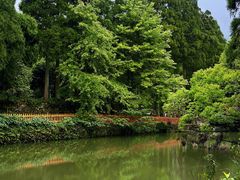 -玉苍山国家森林公园