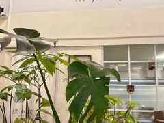 -绿小院(荔湾店)