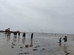 -老虎石海上公园