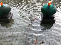 -千岛湖品鱼馆(钓鱼岛店)