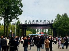 -黄海国家森林公园