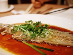 龙利鱼-陶陶居海鲜酒家(新马路店)