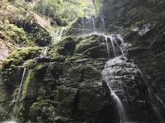 -云南屏边大围山国家公园