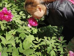 -石家庄市植物园